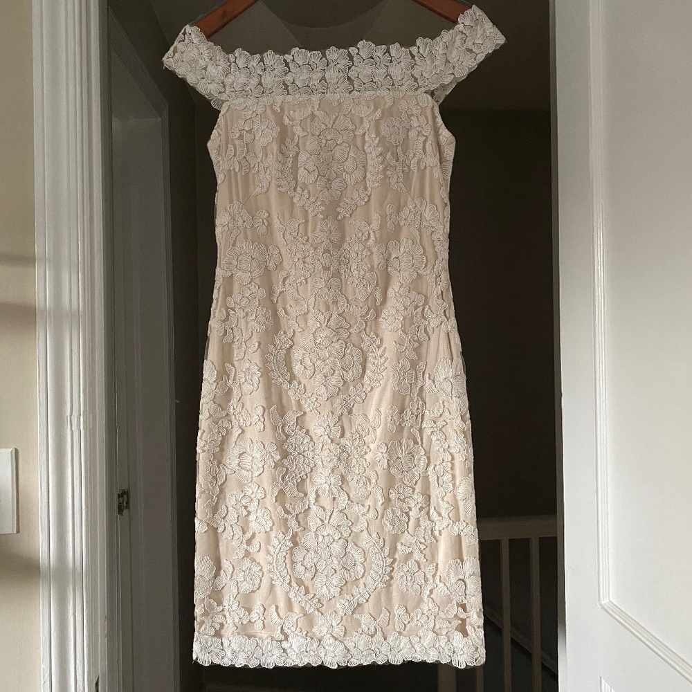 Tadashi Shoji Lace Illusion Dress